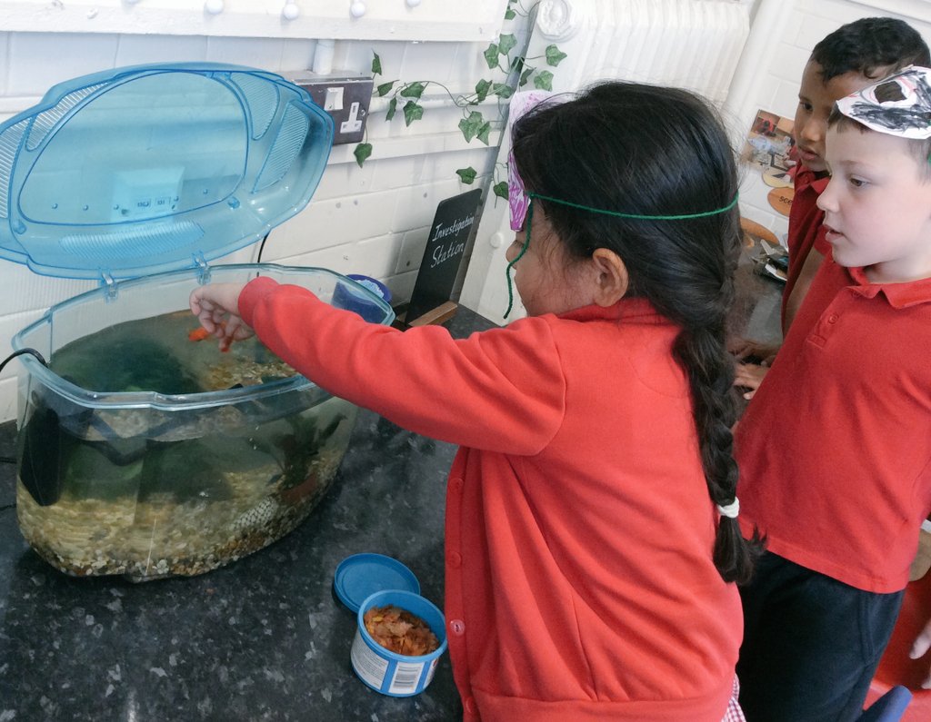 Say hello to Jubbergate's newest member...'Maggot'! Reception are doing a wonderful job of taking care of the latest addition to our class 🧡 <a href="/EyfsRoad/">HaxbyRoadEYFS</a> <a href="/HaxbyRoad/">Haxby Road Academy</a>