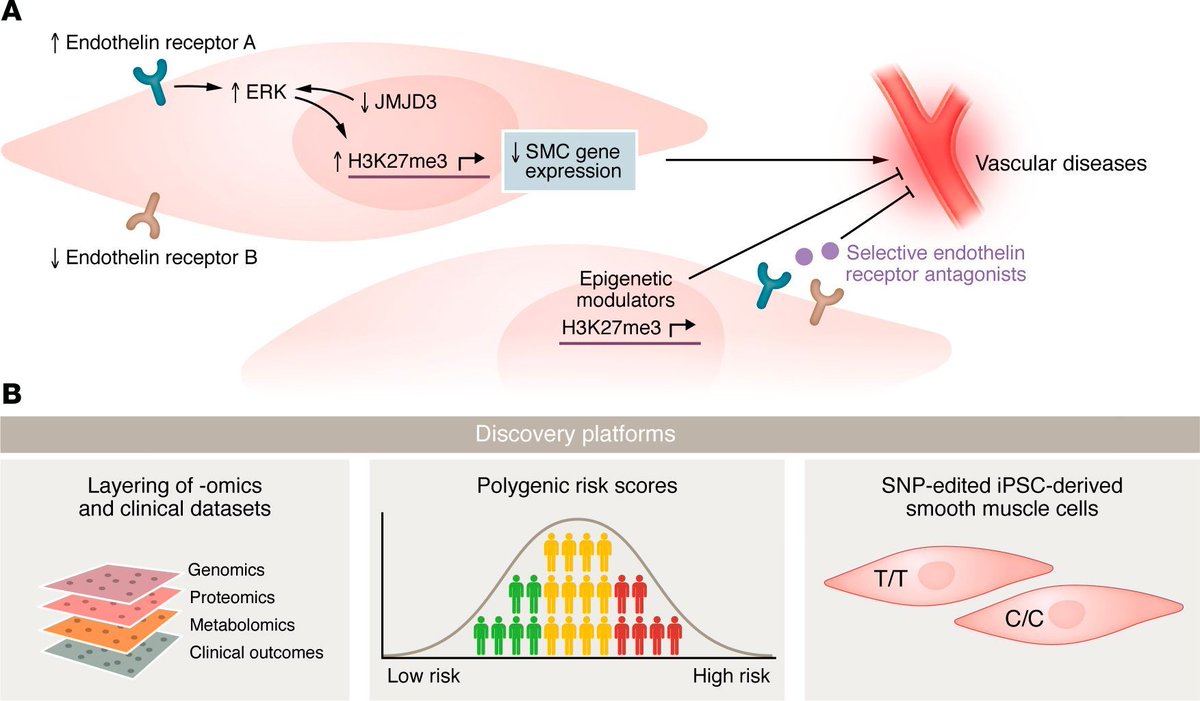 The writing on the arterial wall: epigenetic control of blood pressure and vascular remodeling: jci.org/articles/view/… 

Lloyd D. Harvey &amp; Stephen Y. Chan provide a Commentary on Mangum et al. (jci.org/articles/view/…)