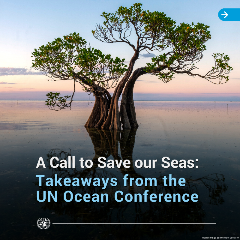 UN's tweet photo. Countries at the UN Ocean Conference have committed to urgent, science-based action to safeguard our seas.

Amid growing threats, the agreement calls for steps to expand marine protected areas, decarbonize shipping, tackle pollution &amp; other critical efforts to #SaveOurOcean.