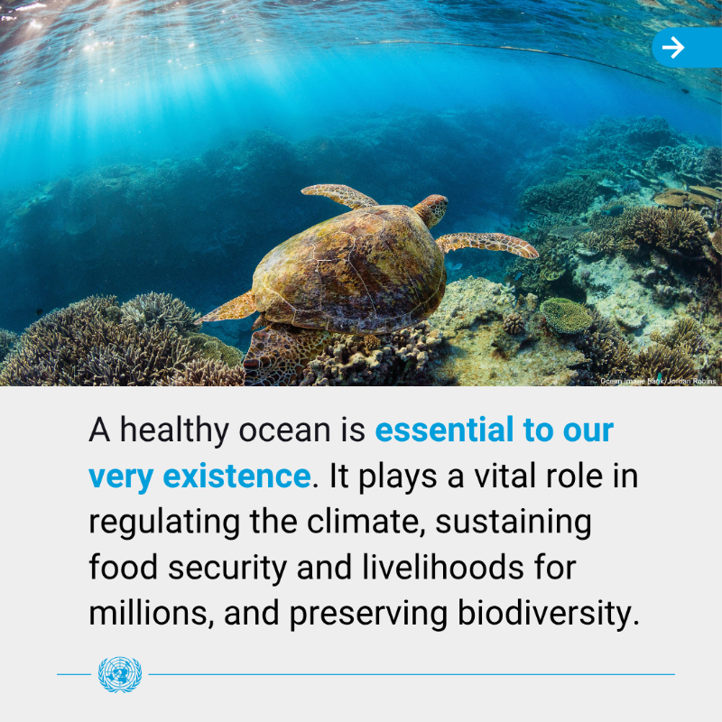 UN's tweet photo. Countries at the UN Ocean Conference have committed to urgent, science-based action to safeguard our seas.

Amid growing threats, the agreement calls for steps to expand marine protected areas, decarbonize shipping, tackle pollution &amp; other critical efforts to #SaveOurOcean.