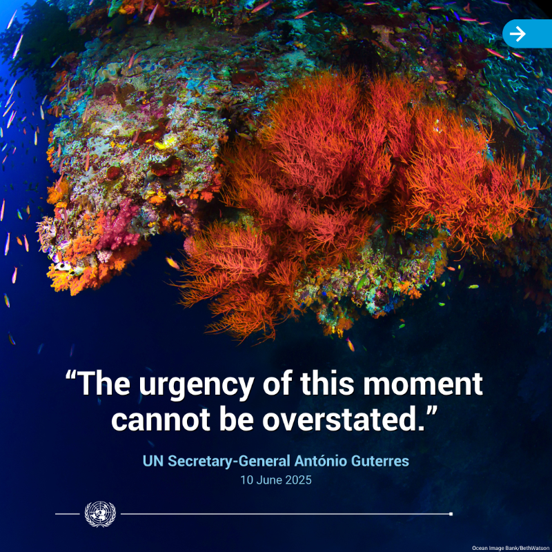 UN's tweet photo. Countries at the UN Ocean Conference have committed to urgent, science-based action to safeguard our seas.

Amid growing threats, the agreement calls for steps to expand marine protected areas, decarbonize shipping, tackle pollution &amp; other critical efforts to #SaveOurOcean.