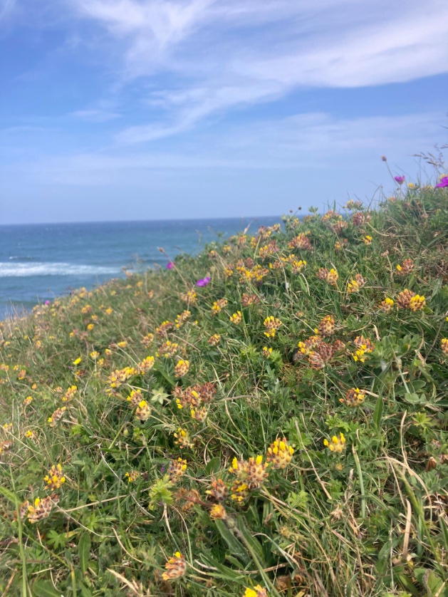 Charlotte Rankin tweet media