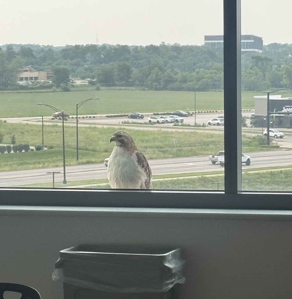 Orthopedic surgeon Matthew Bollier, MD, had some “Hawk-eye” supervision in his clinic at our North Liberty campus this week. 👀🏥