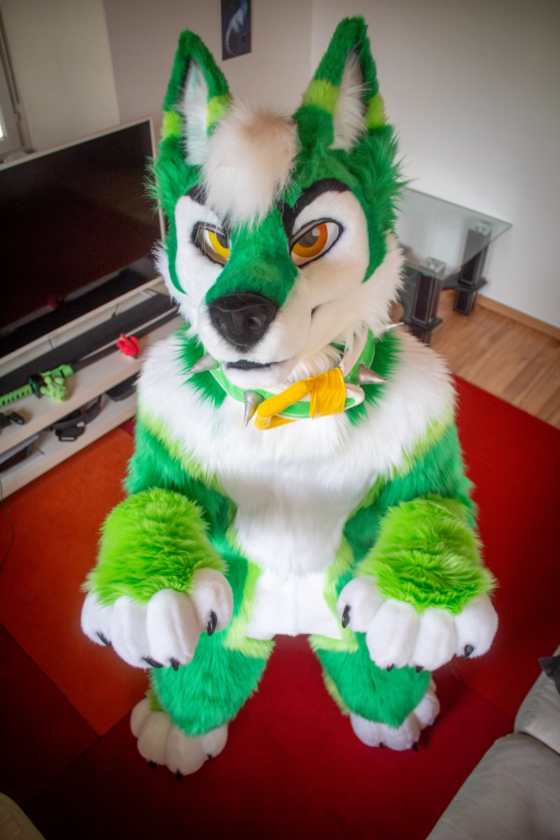 ColtArokaii's tweet image. Woooof!!!!! I wanna go out for some walkies!!
#FursuitsFriday
📸 : My love @Kyliow_Rasuto
🪡 : @MadeFurYou