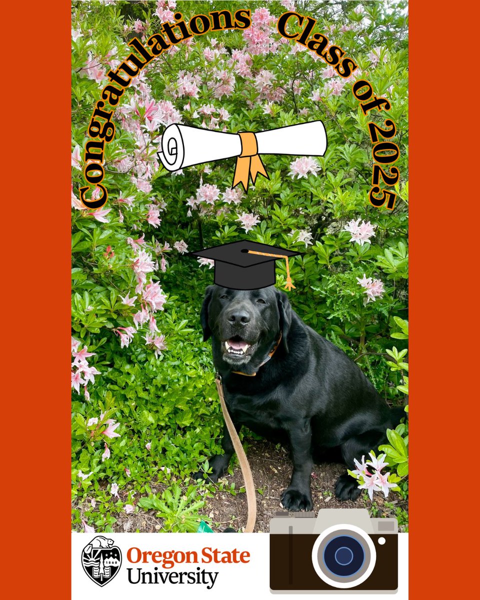 Oregon State Public Safety tweet media