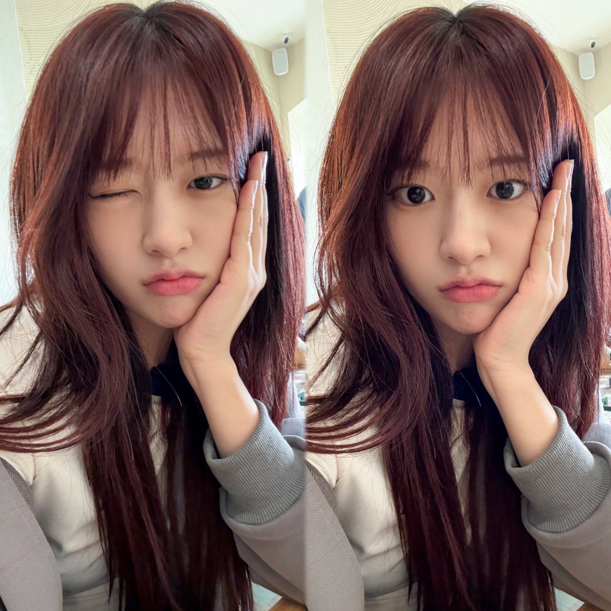 ｡:ﾟ૮ ˶ˆ ﻌ ˆ˶ ა ﾟ:｡