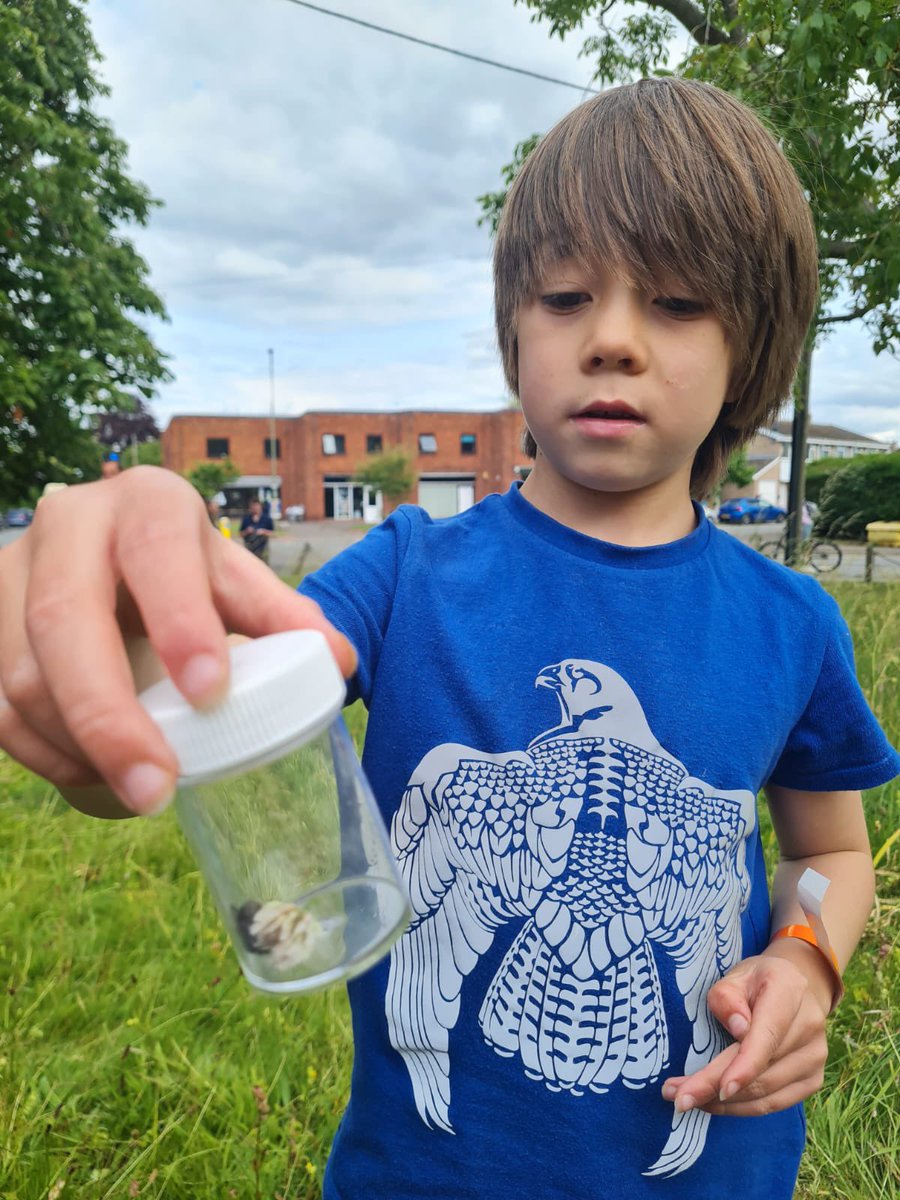 PoMScheme's tweet photo. The sun is shining for #FITcounts this weekend! On Sunday @PoMScheme team enjoyed introducing families to the insect life on our community meadow, as part of The Springline Project @ChilternsNL #MendtheGap We’d love to hear of other community events where you are 🐝☀️@UK_CEH https://t.co/efyon2mudB