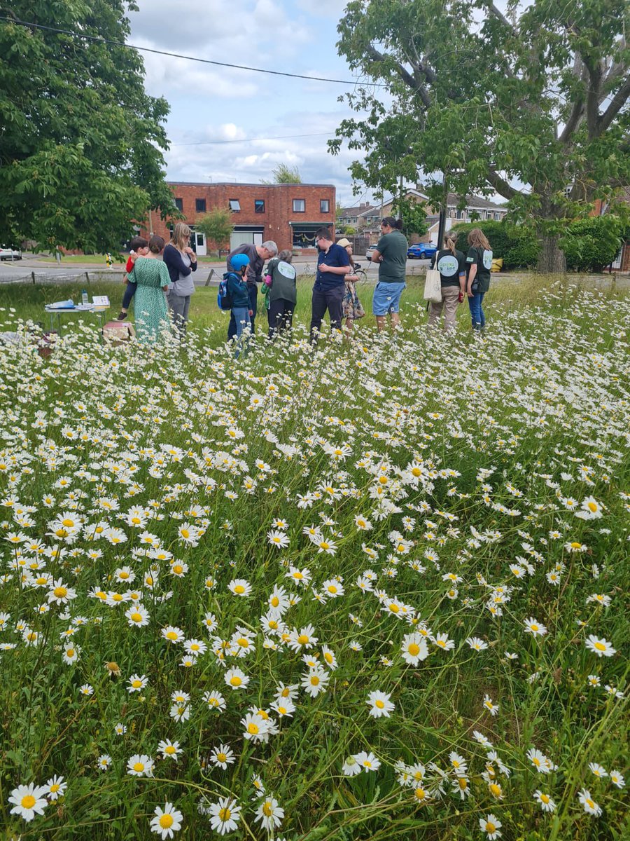 PoMScheme's tweet photo. The sun is shining for #FITcounts this weekend! On Sunday @PoMScheme team enjoyed introducing families to the insect life on our community meadow, as part of The Springline Project @ChilternsNL #MendtheGap We’d love to hear of other community events where you are 🐝☀️@UK_CEH https://t.co/efyon2mudB
