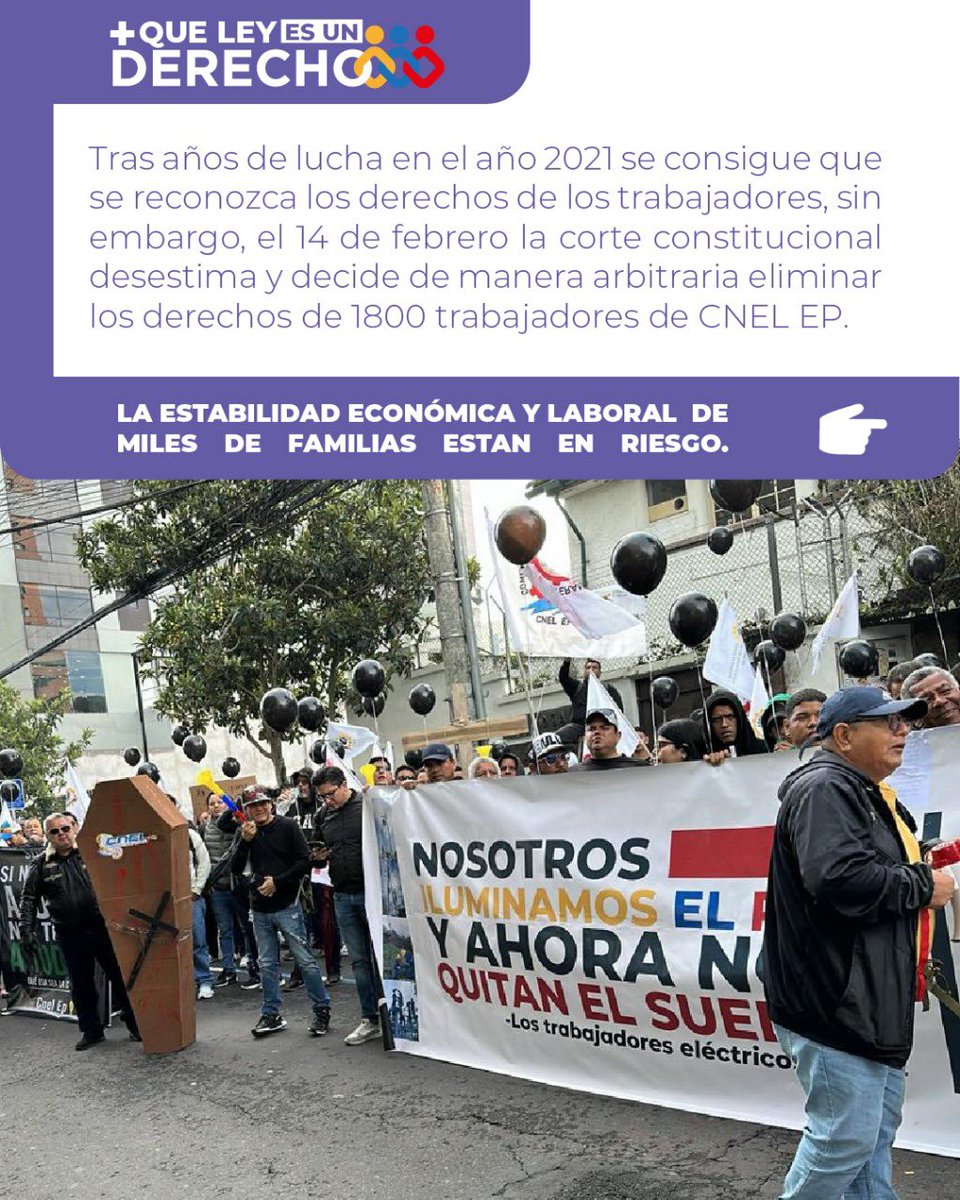 Comité CNEL EP tweet media