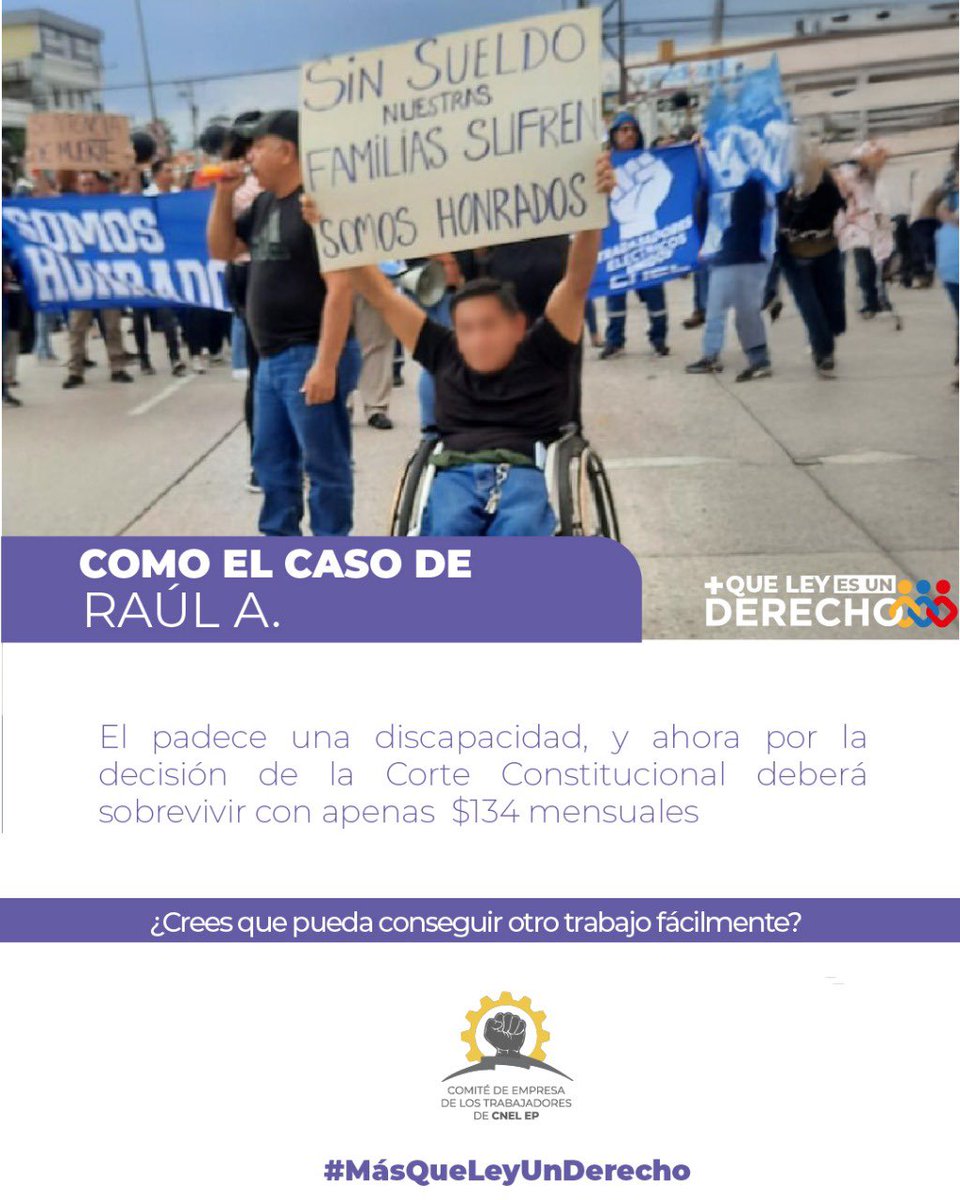 Comité CNEL EP tweet media