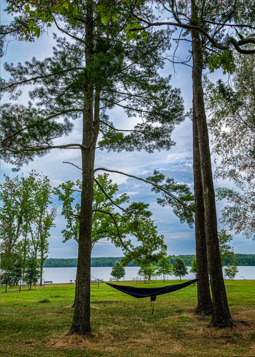 June Vibes .. 
.
#Nature #photograghy #photos #photooftheday #photographer #photoart 
#DailyPhoto #photomo25