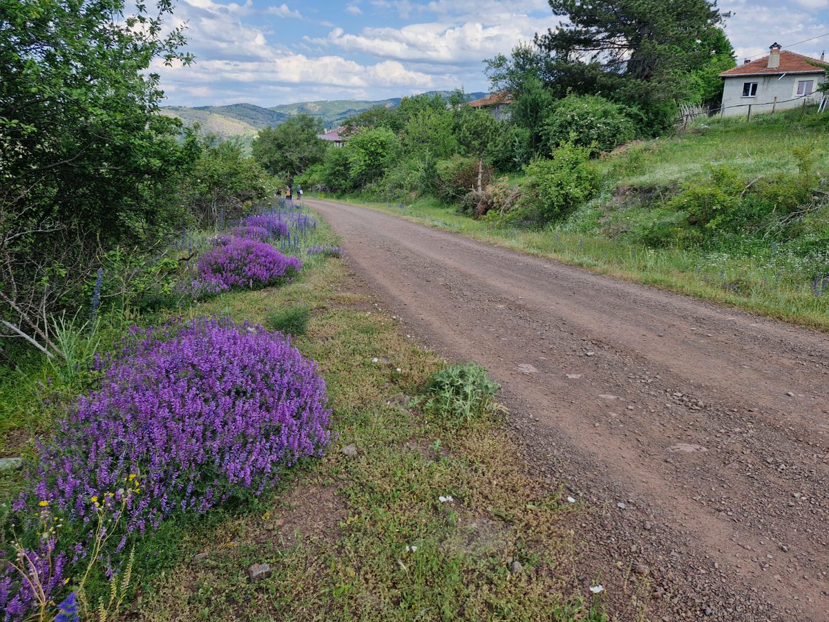 Tolstoy'a sormuşlar:
Nasıl ''iyi insan'' olunabilir?
Önce ''kötülük ve kötü insan'' hususunda mutabık olmak lazım, demiş.
Peki, kötü insan nedir? diye sormuşlar.
Verdiği cevap sarsıcı: 
''Kendi mutluluğundan başka hedefi olmayan insan en kötü insandır.''

#İyiakşamlar
#huzurla
🦋