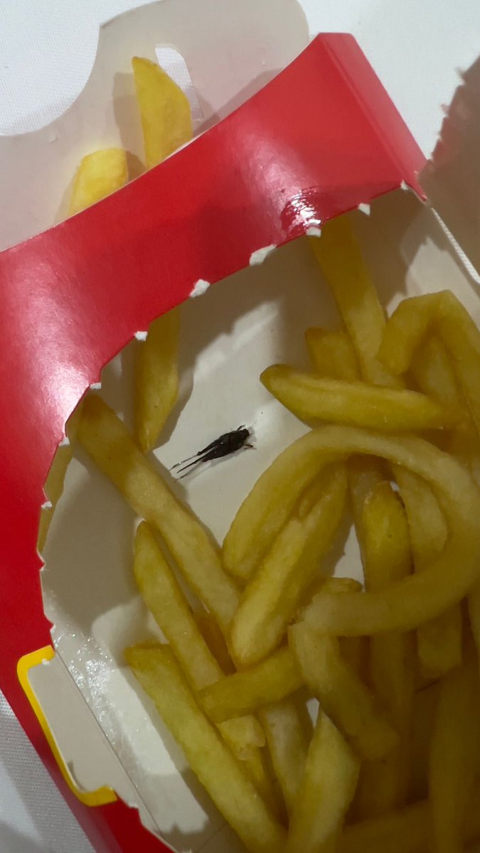 dadahrishikesh's tweet photo. I received a dead insect along with my fries from @mcdonaldsindia @McDonalds https://t.co/qfYpJsGKs4