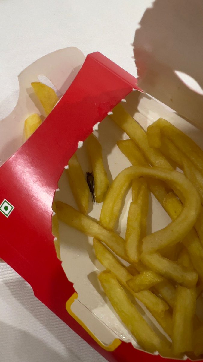 dadahrishikesh's tweet photo. I received a dead insect along with my fries from @mcdonaldsindia @McDonalds https://t.co/qfYpJsGKs4