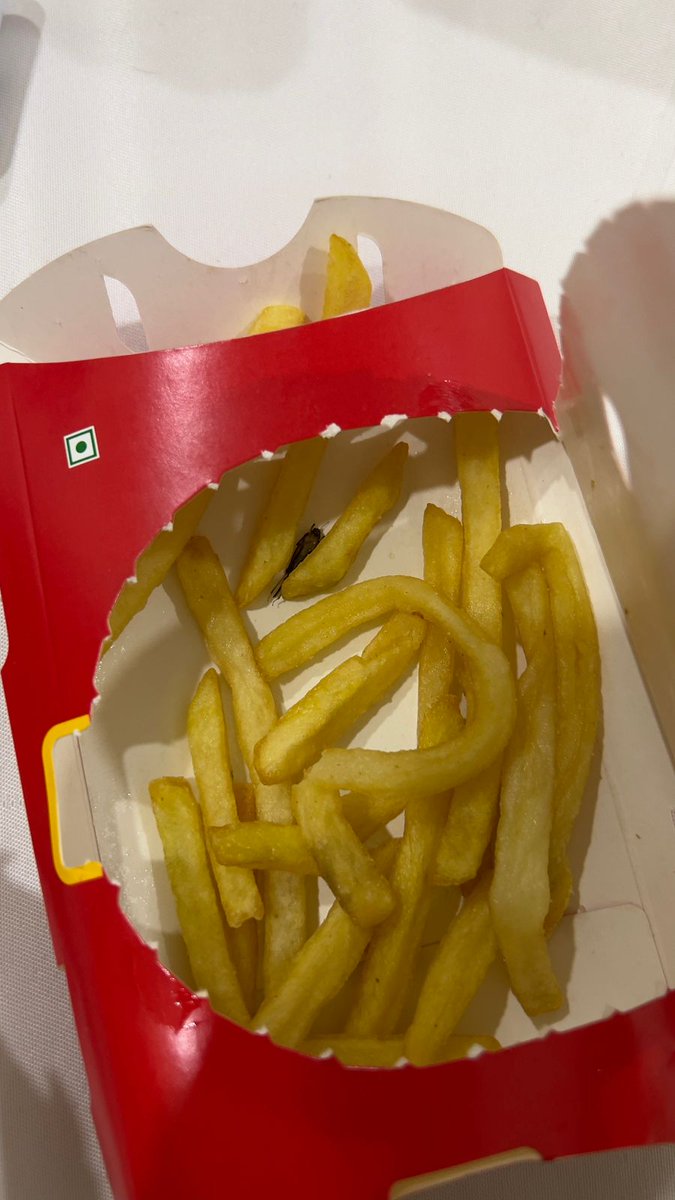 dadahrishikesh's tweet photo. I received a dead insect along with my fries from @mcdonaldsindia @McDonalds https://t.co/qfYpJsGKs4