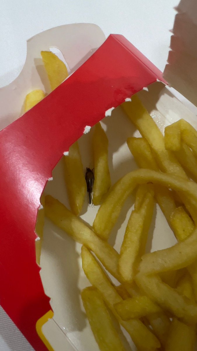 dadahrishikesh's tweet photo. I received a dead insect along with my fries from @mcdonaldsindia @McDonalds https://t.co/qfYpJsGKs4