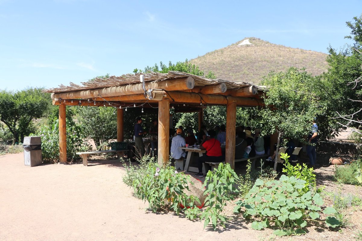 Pima County School Superintendent's Office tweet media