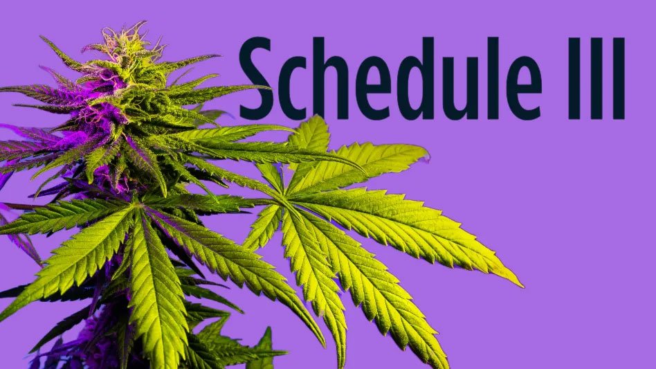 The Debate Over Downgrading Marijuana to Schedule 111: Why It’s a Dangerous Move

Read more at michaeldeleonblog.org