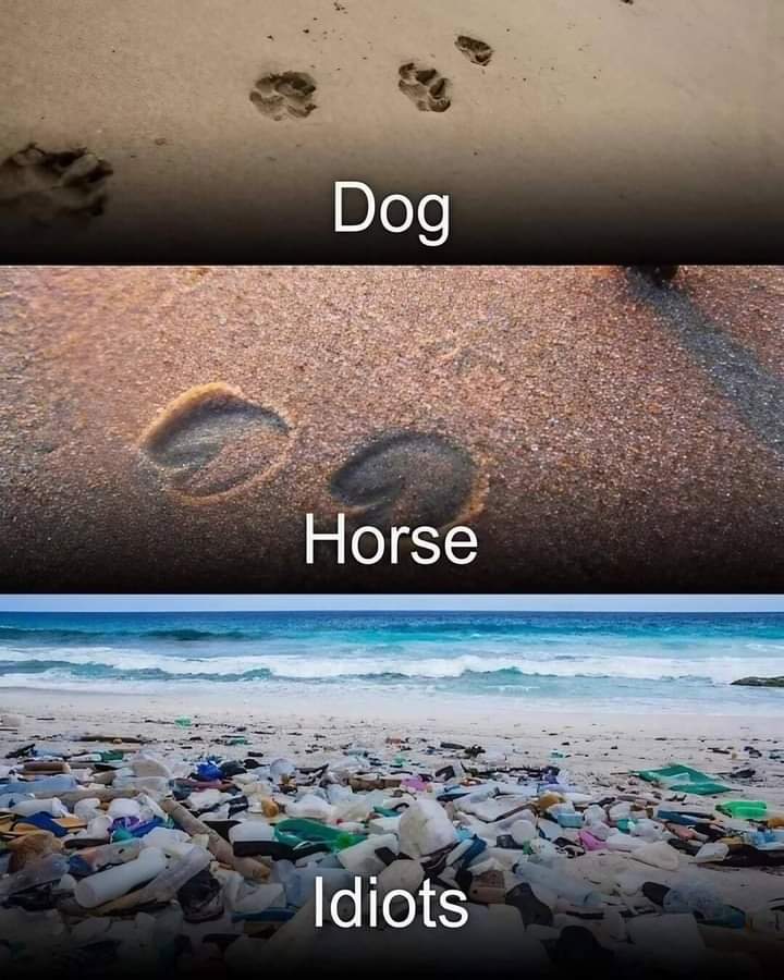 Amazing Nature (@amazingnature00) on Twitter photo 