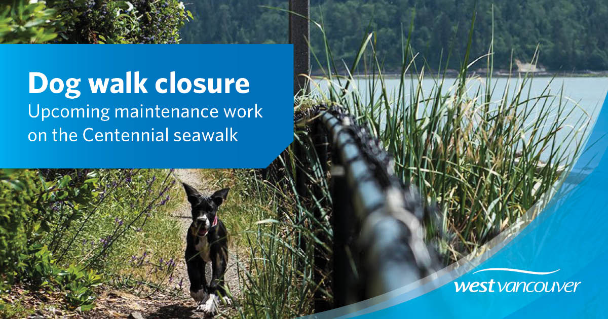 The dog walk along the Centennial Seawalk will be closed June 18-20 for maintenance.

Maintenance includes vegetation trimming, pruning, and weeding. Work requires the use of equipment with small motors. 

More info: westvancouver.ca/dog-walk-closu…