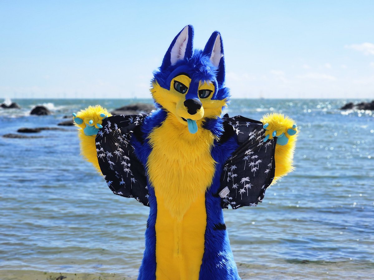 Teezik_Wolf's tweet image. It&apos;s getting kinda hot in here, hope you don&apos;t mind me taking of my clothes 😏😌😉🤣 #fursuitfriday 

Only on the beach and not totally naked tho xP 

📷 @Pitou_Rikou 
🪡🧵 Thunderhowl Studios

#furry #fursuiter #frenchfursuiter #fursuit