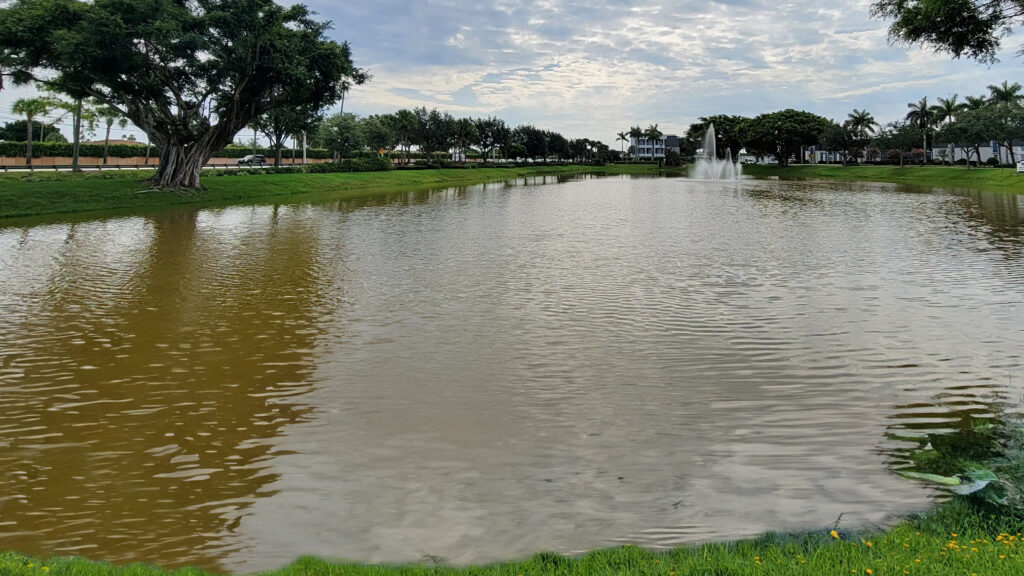 Case Study: How we transformed “Chocolate Lake” — a once-brown, murky community lake — into a beautiful, healthy water feature. 

Read the full story on our blog: spklr.io/6014B6XN4

 #LakeRestoration #WaterQuality #CommunityPride #TryMarine