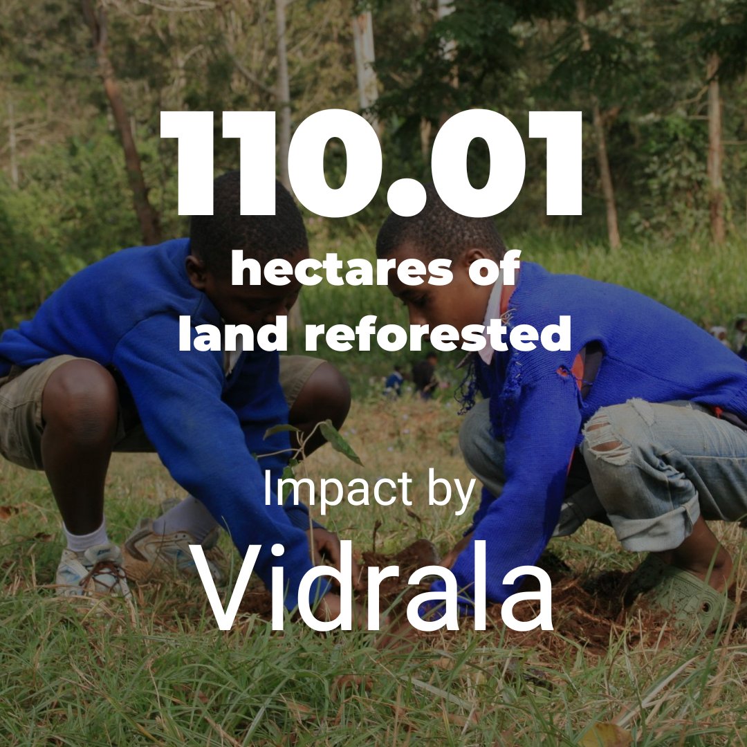 Forests don’t just grow overnight—they grow with commitment, action, and partners like <a href="/Vidrala_Group/">Vidrala</a>  who believe in a greener future. Thanks to their Tree Gifts, 110.01 hectares of land are being restored, bringing back biodiversity and protecting our planet.