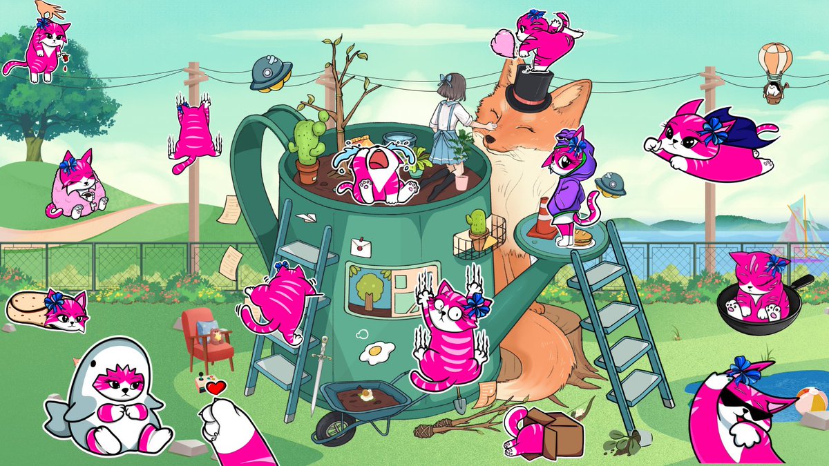 Toshe is the cutest cat