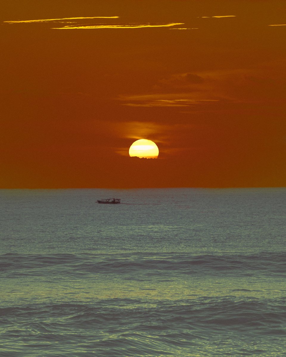 Samantha Cavet tweet media