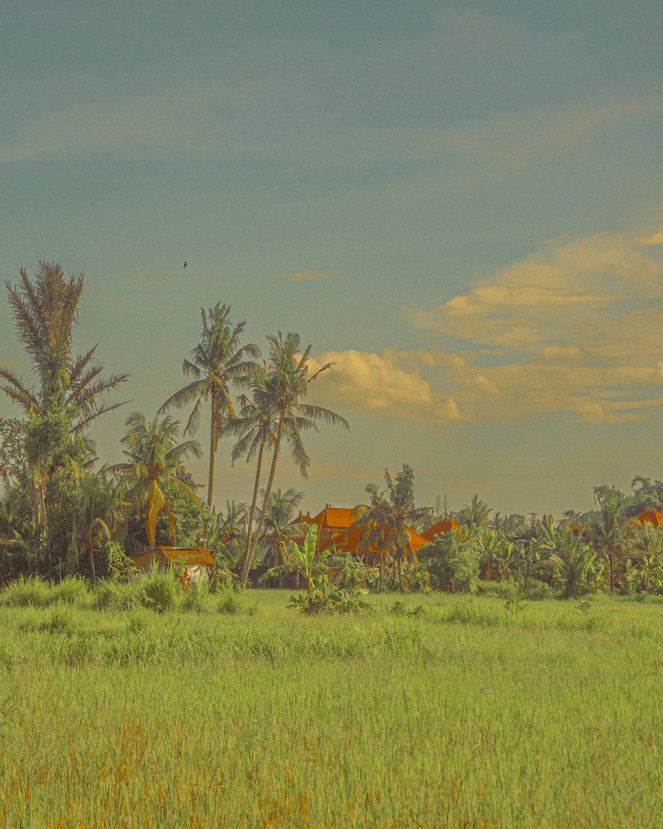 Samantha Cavet tweet media