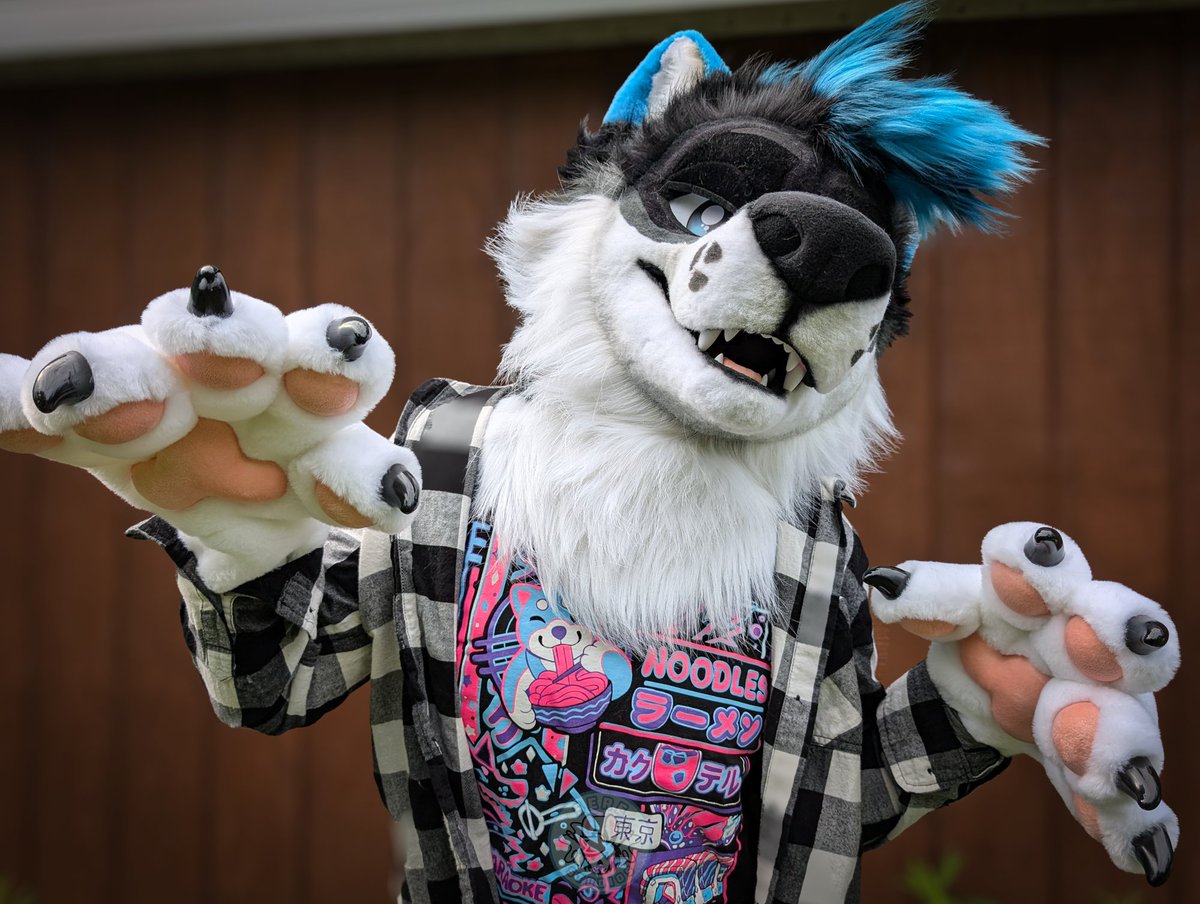 serestudios's tweet image. Oh heck its Fursuit Friday again and there's a new wolf on the loose! Here's Halligan!