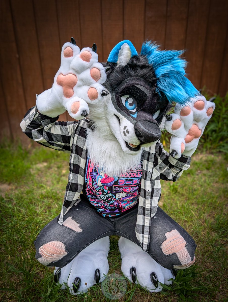 Oh heck its Fursuit Friday again and there's a new wolf on the loose! Here's Halligan!