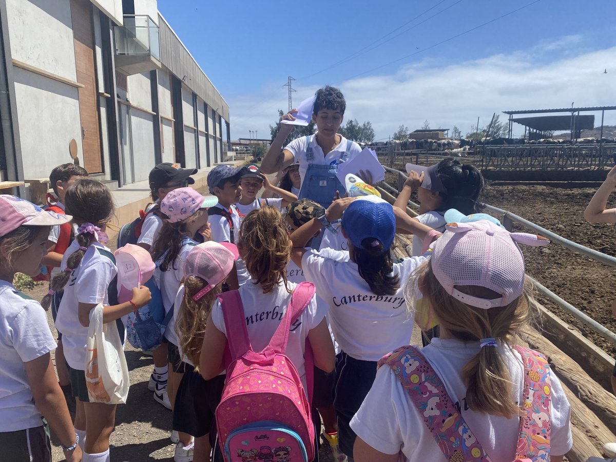 Canterbury School (@canterburygc) on Twitter photo Year 2 & 3 Maspalomas had a great time meeting cows, calves, and even a newborn just 1 hour old! ๐ฎ๐ผ We loved feeding them and learning how milk becomes tasty dairy treats ๐ง๐ฅ๐ฆ Thanks to <a href="/LecheSandra/">Leche Sandra</a> for having us! ๐๐ #SchoolTrip #LearningOutsideTheClassroom Year 2 & 3 Maspalomas had a great time meeting cows, calves, and even a newborn just 1 hour old! ๐ฎ๐ผ We loved feeding them and learning how milk becomes tasty dairy treats ๐ง๐ฅ๐ฆ Thanks to <a href="/LecheSandra/">Leche Sandra</a> for having us! ๐๐ #SchoolTrip #LearningOutsideTheClassroom