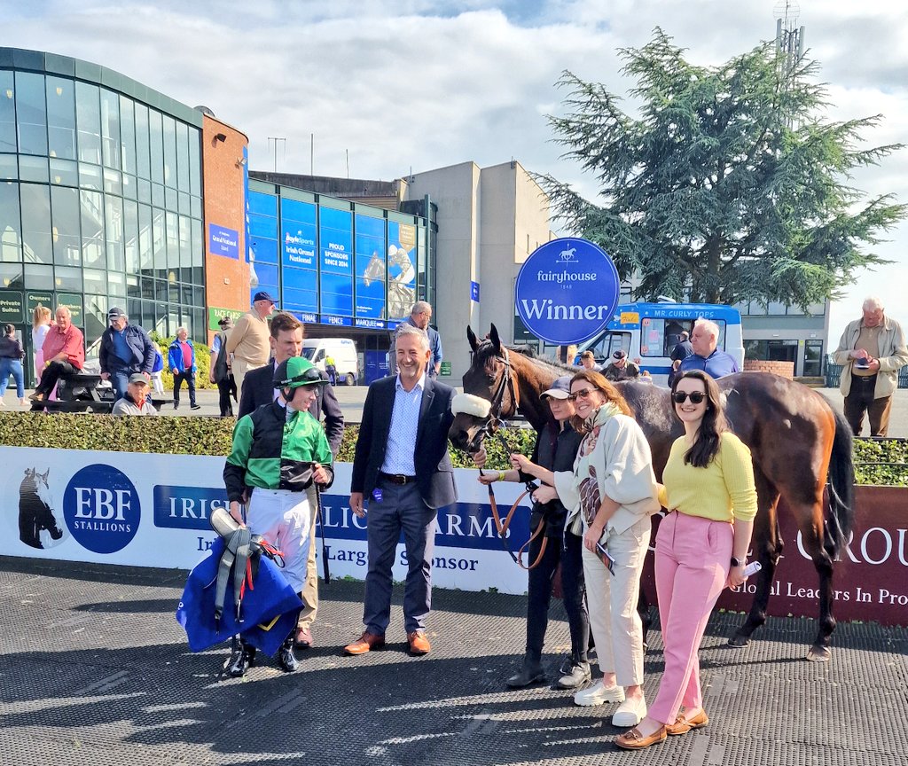 Irish Stallion Farms tweet media