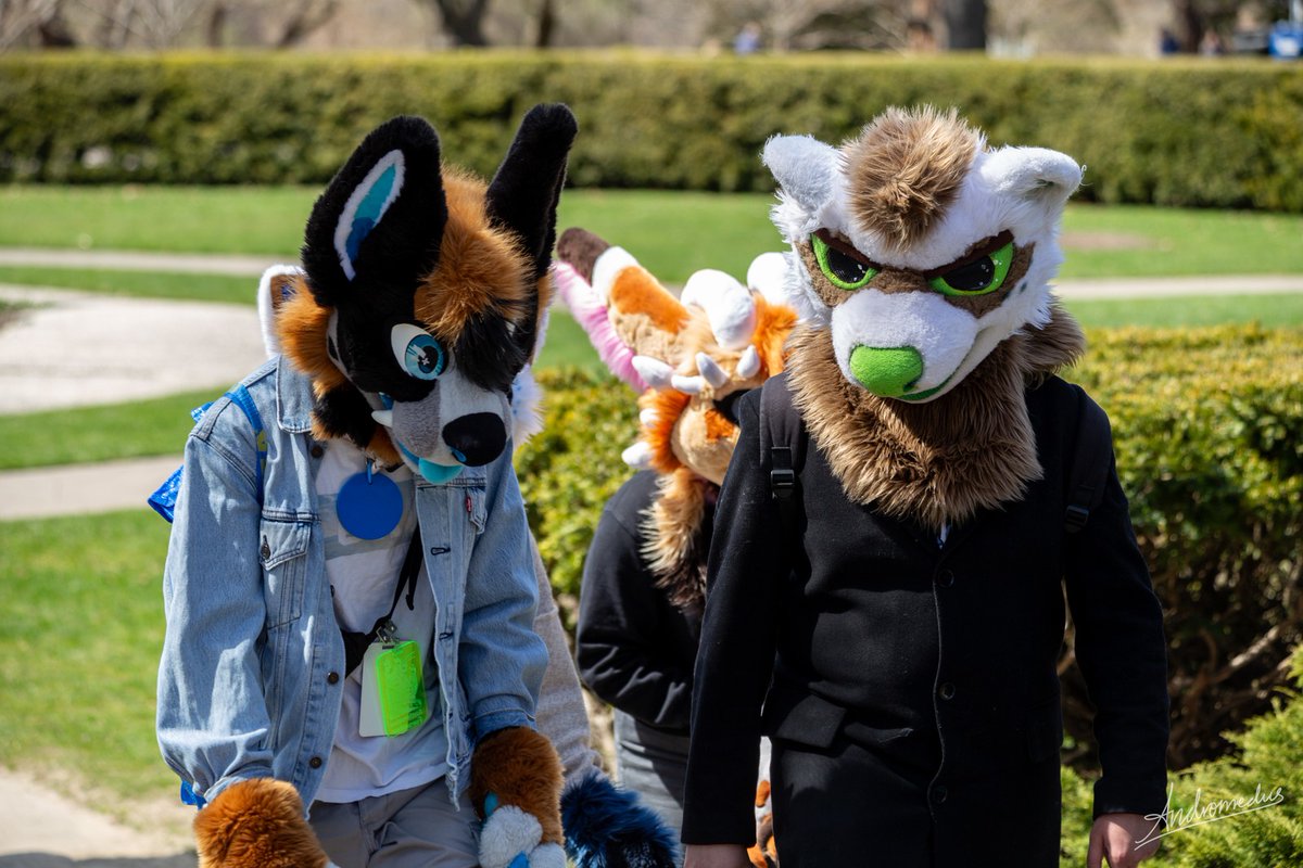 TheNoobieYaKnow's tweet image. Just taking a walk and chatting with friends! 

📸 : @AndromedusWolf 
🐕: @itseubean

#furryfandom #FursuitFriday #furries