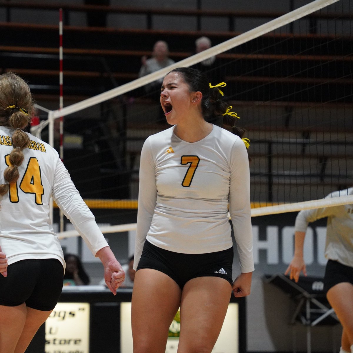 TLU_VB's tweet image. Exactly 12 Fridays from first serve but whoโs counting? #seeusoon
#TooLiveU | #PupsUp