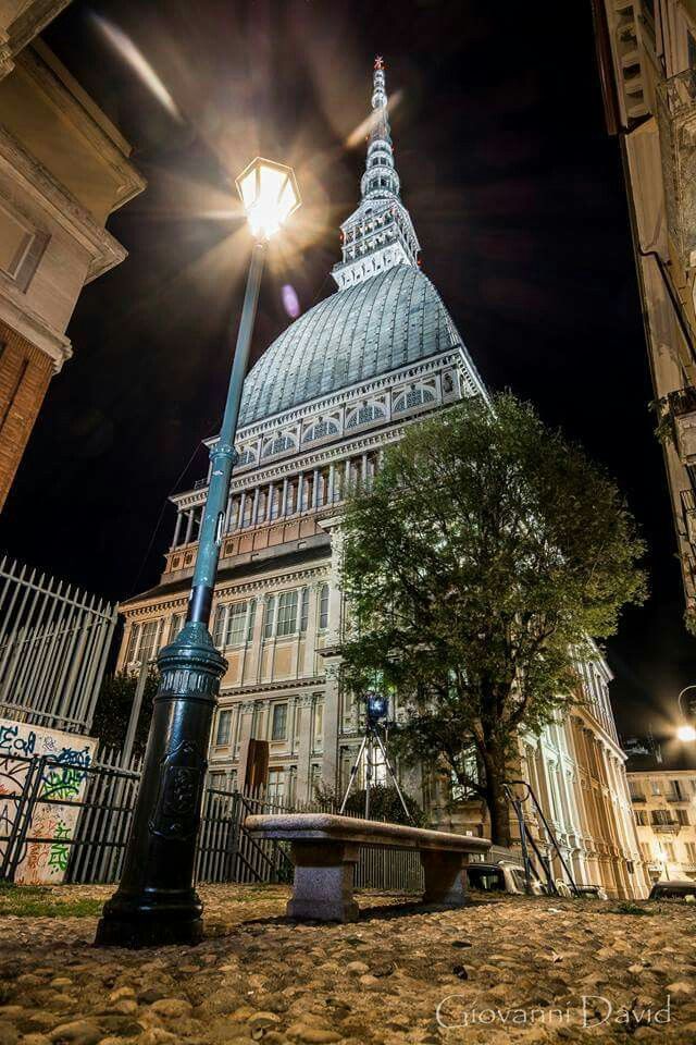 Il clamore d'un passero sulle grondaie,
La luna brillante e tutto il latteo cielo,
E tutta quella famosa armonia di foglie,
Avean cancellato l'immagine dell'uomo ed il suo grido.

William Butler Yeats #NatiOggi

#goodnight ❤️

#RaccontodellaSera

Torino
