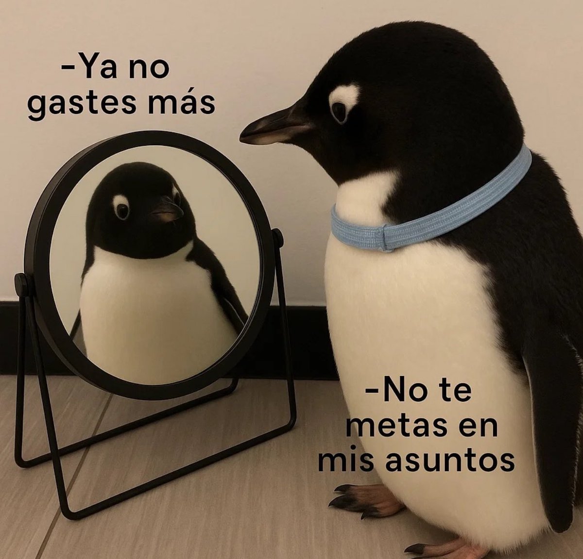 🇲🇽 México Mágico ✨ (@enmexicomagico) on Twitter photo 