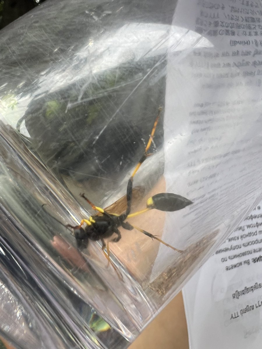 NGU || Tailored Made tweet media