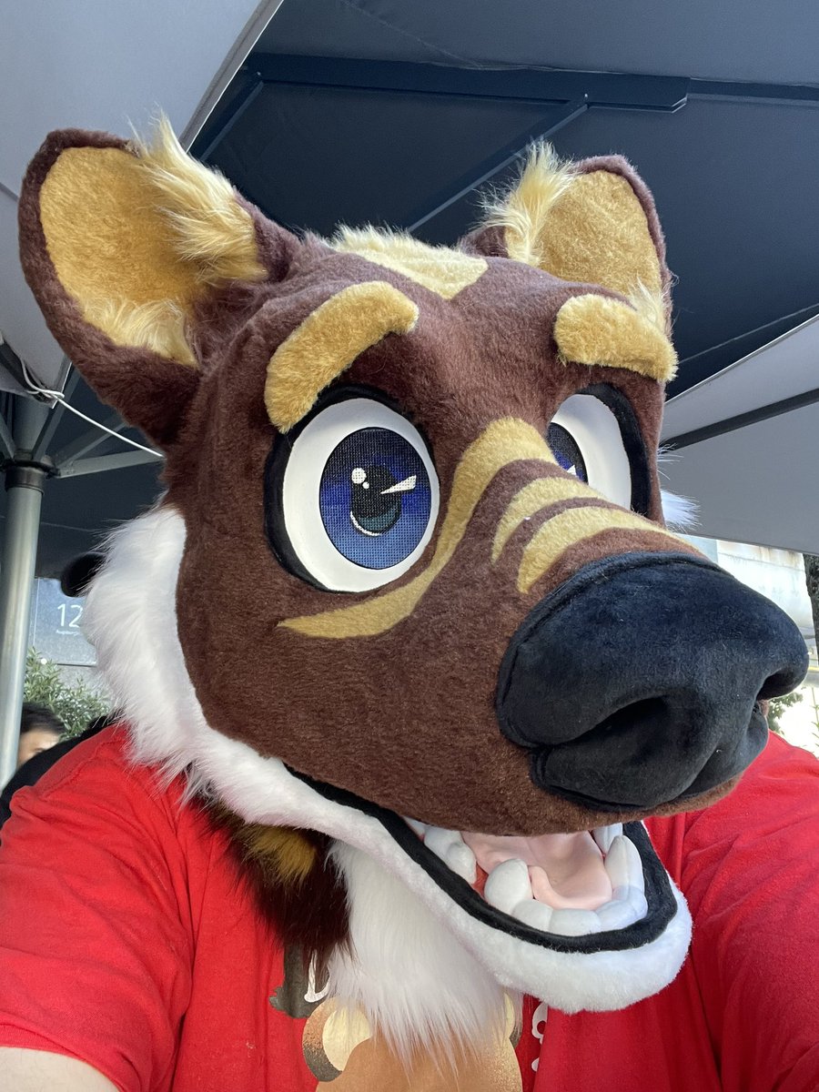 Hiya it’s me, happy #FursuitsFriday 
I just picked up my new partial suit made by FellowBeasts fellowbeasts.de

Can’t wait to meet you on a suitwalk near you.