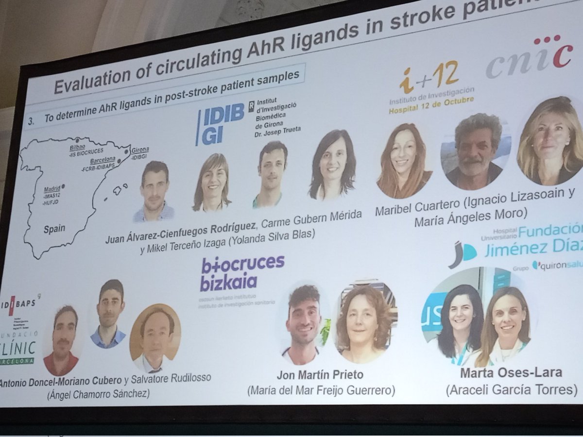 Ricors-Ictus (@ricors_ictus) on Twitter photo <a href="/group_treat/">Treat🧠</a> <a href="/idis_research/">Instituto de Invest. Sanitaria de Santiago (IDIS)</a> <a href="/paulavgon_45/">Paula Villatoro</a> <a href="/PharmaEpigenLab/">Stroke Pharmacogenomics and Genetics</a> <a href="/IRSantPau/">Institut de Recerca Sant Pau</a> El otro proyecto colaborativo DE #RICORSICTUS lo lidera <a href="/CNietoV20/">Carmen Nieto</a> de <a href="/NeuroVascuLab/">NeuroVascuLab</a> del i+12.
Estudiarán el uso de AhR como biomarcador en colaboración con grupos de <a href="/Neurodoce/">Neurologia H12O</a> @CNIC <a href="/unicomplutense/">Complutense</a> <a href="/idibgi/">IDIBGI Institut d'Investigació Biomèdica de Girona</a> <a href="/biobizkaia/">IIS Biobizkaia</a> <a href="/idibaps/">IDIBAPS</a> @Hospitalclinic <a href="/group_treat/">Treat🧠</a> <a href="/idis_research/">Instituto de Invest. Sanitaria de Santiago (IDIS)</a> <a href="/paulavgon_45/">Paula Villatoro</a> <a href="/PharmaEpigenLab/">Stroke Pharmacogenomics and Genetics</a> <a href="/IRSantPau/">Institut de Recerca Sant Pau</a> El otro proyecto colaborativo DE #RICORSICTUS lo lidera <a href="/CNietoV20/">Carmen Nieto</a> de <a href="/NeuroVascuLab/">NeuroVascuLab</a> del i+12.
Estudiarán el uso de AhR como biomarcador en colaboración con grupos de <a href="/Neurodoce/">Neurologia H12O</a> @CNIC <a href="/unicomplutense/">Complutense</a> <a href="/idibgi/">IDIBGI Institut d'Investigació Biomèdica de Girona</a> <a href="/biobizkaia/">IIS Biobizkaia</a> <a href="/idibaps/">IDIBAPS</a> @Hospitalclinic