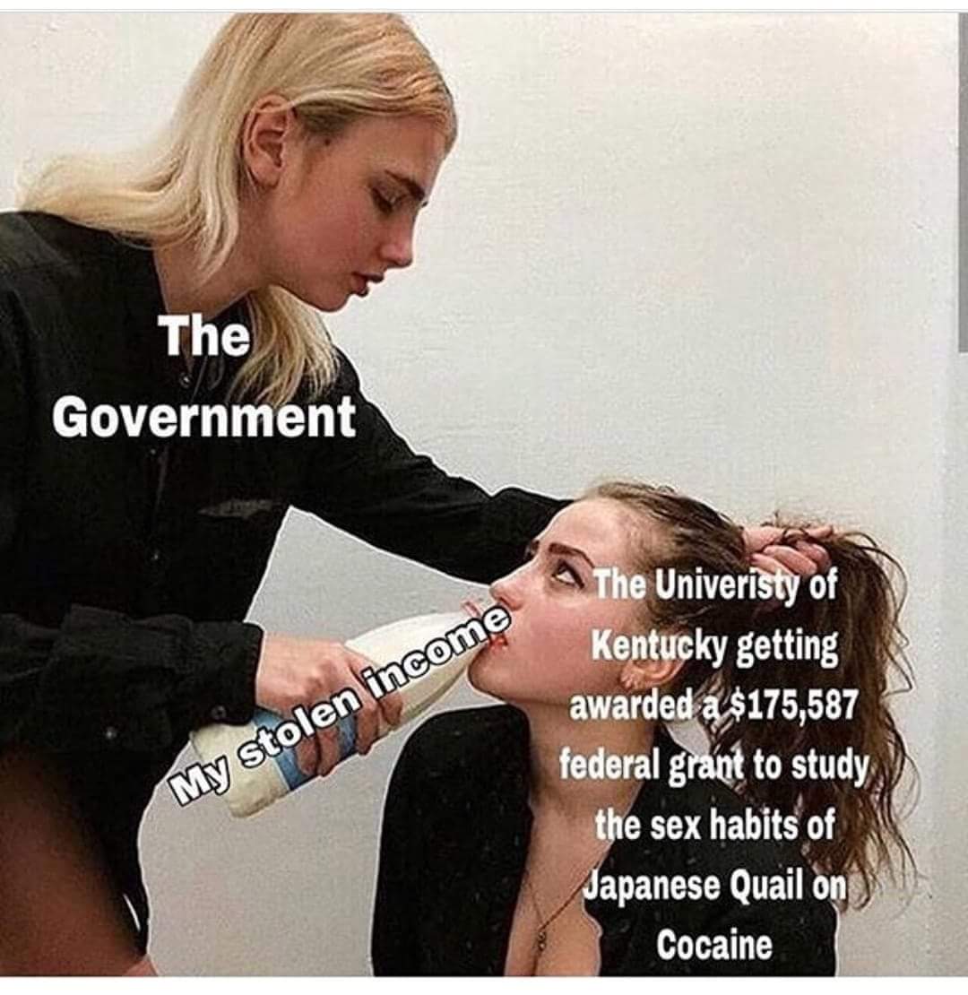 Taxation Is Theft (@taxationestheft) on Twitter photo 