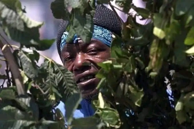 Max_king4's tweet photo. My grandfather hiding while slaves were being taken to America😭 https://t.co/Zs8i1oOezv