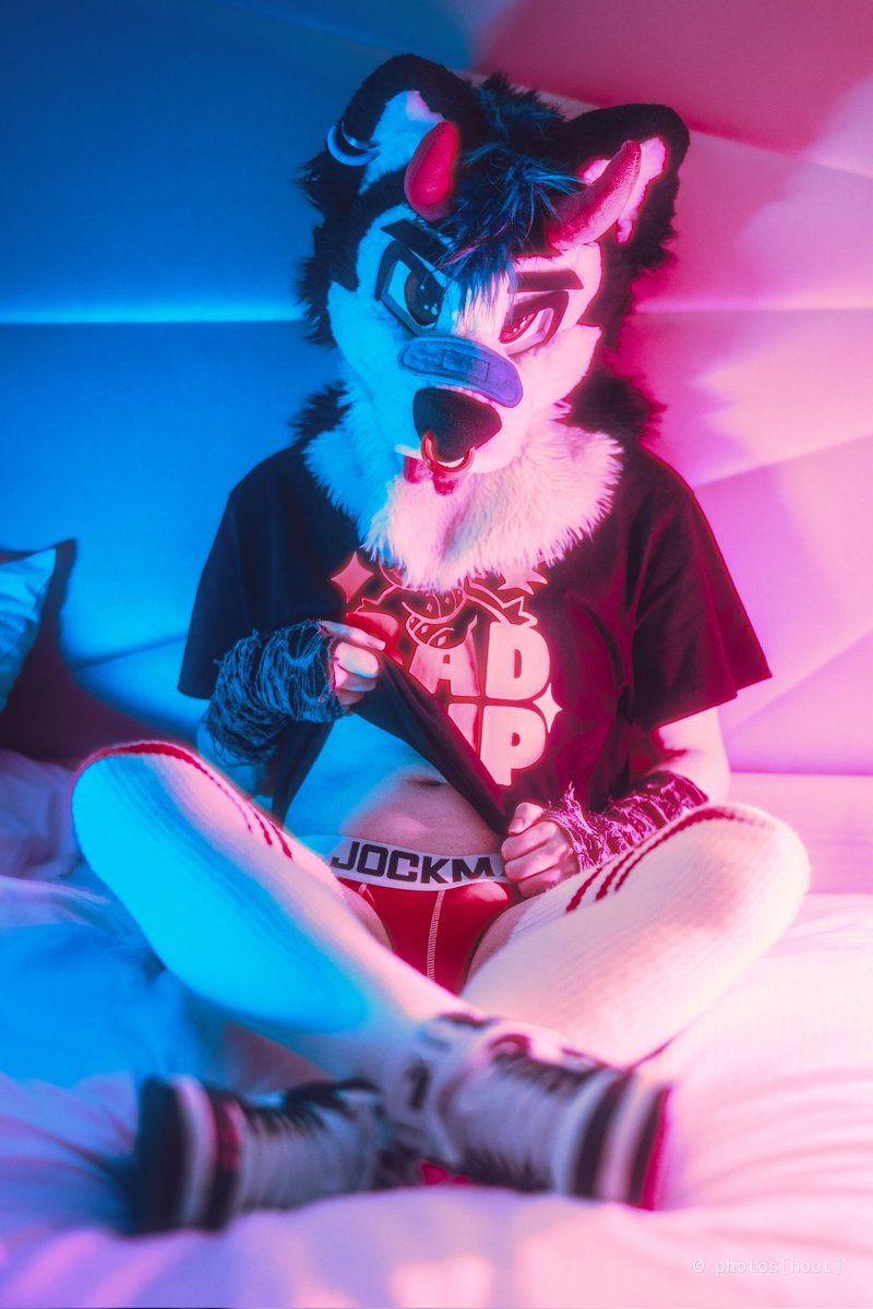 husky pup wants you to join 🩶🥺