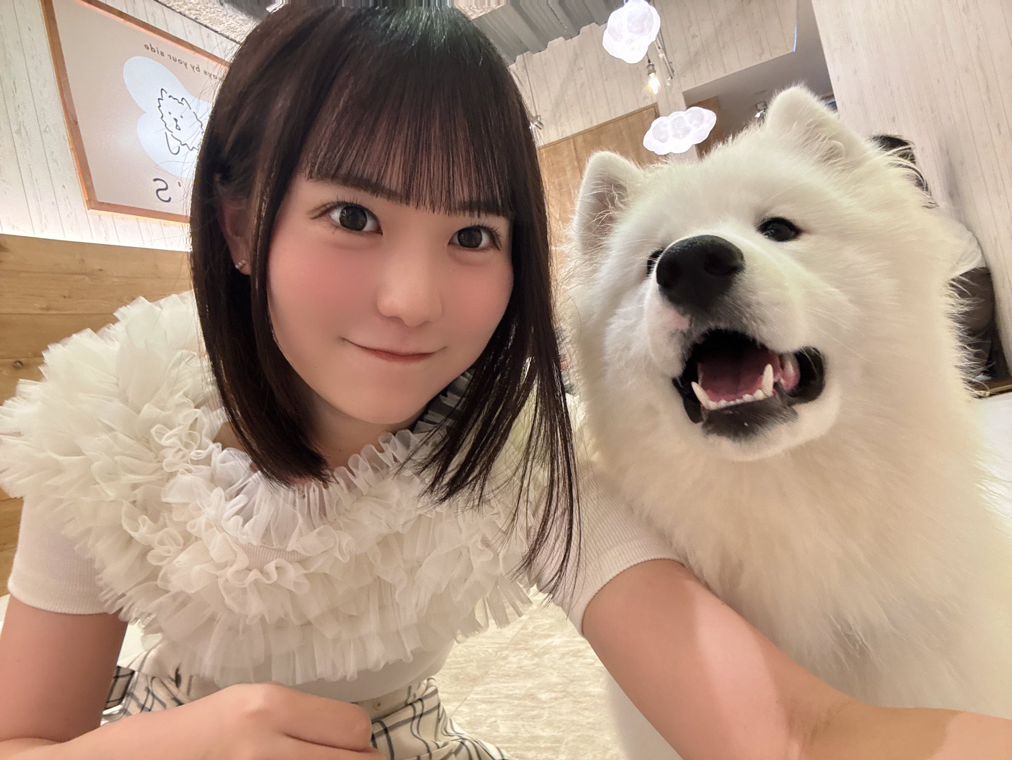STU48 宗雪里香 直筆サイン入りチェキ 8枚セット STU48の7ならべ やすべぇ on X: 