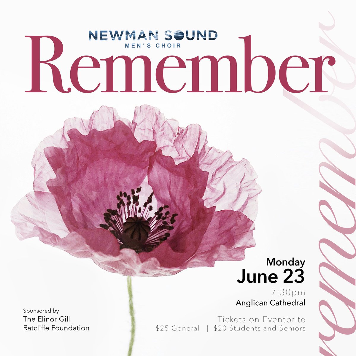 Newman Sound tweet media