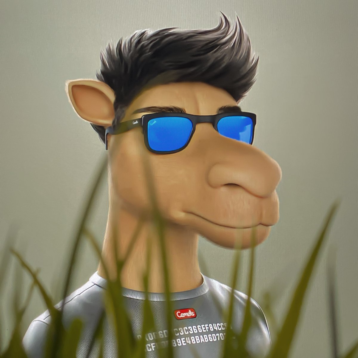 I'm touching grass as I was told to #openseatouchgrass

<a href="/CamelsNFT/">Camels</a> 🐪