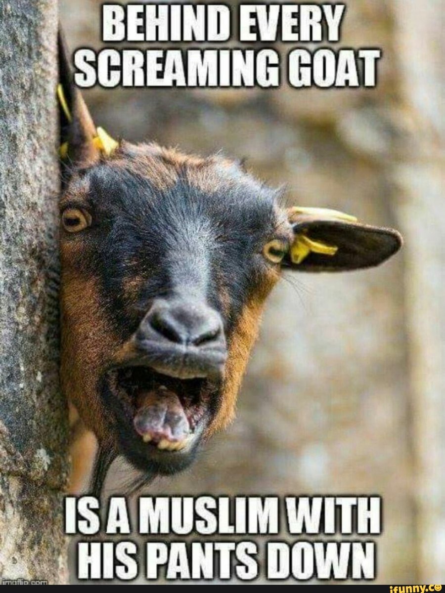🤭😂😂🤣🤣🤣💯💯💯👍🏻