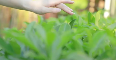 Fiona Fly High👘(💙,🧡🍳 tweet media