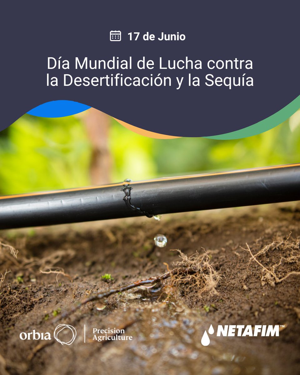 Cada sistema de riego por goteo es un paso hacia el uso eficiente del agua y una producción sostenible.
En Netafim trabajamos para que cada gota cuente.  💧

#DíaMundialContraLaDesertificación #OrgullosamenteRegante
